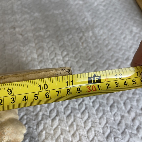 Vintage Plaster Shell Wall Sconce Bracket Shelf 8in x 11in Mid Century - Picture 7 of 9